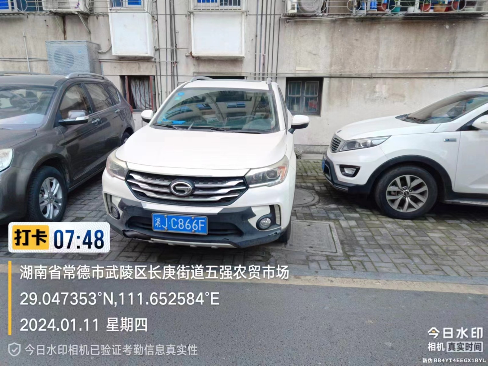 【曝光台】武陵城区不文明行为曝光（450）