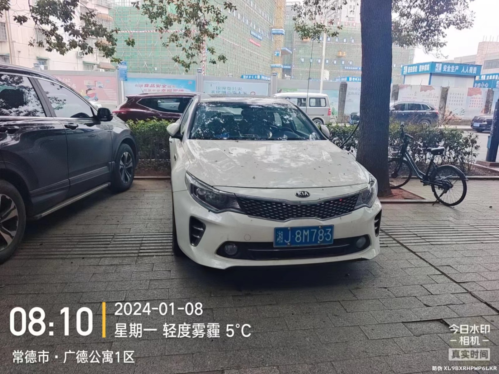 【曝光台】武陵城区不文明行为曝光（447）