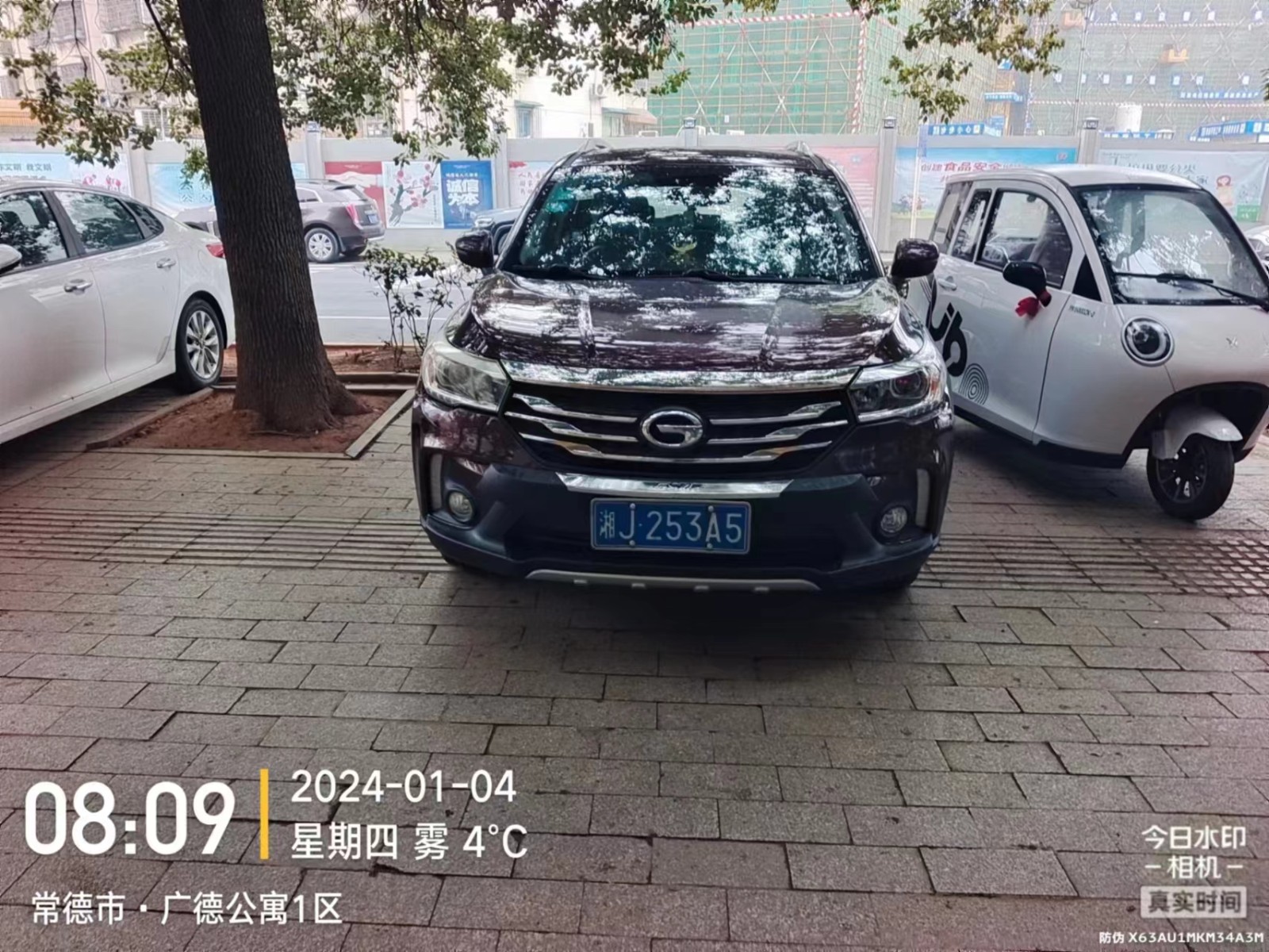 【曝光台】武陵城区不文明行为曝光（445）