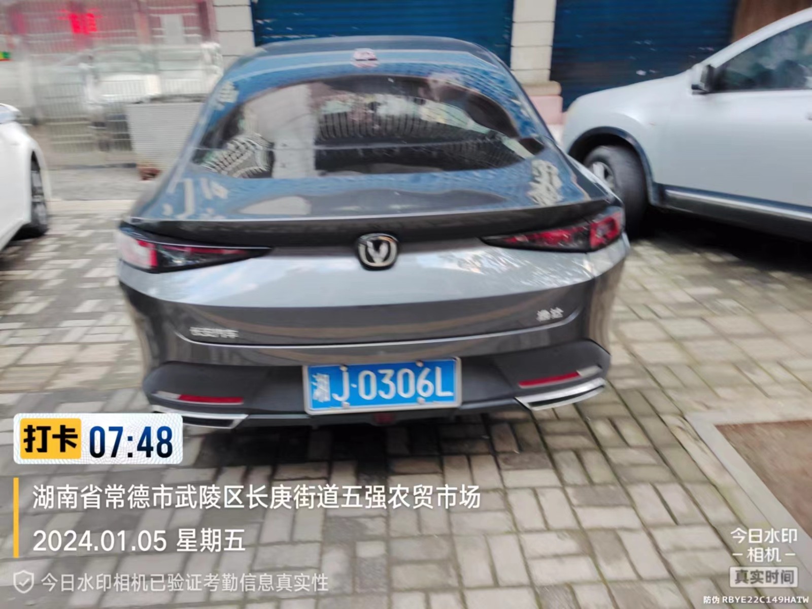 【曝光台】武陵城区不文明行为曝光（446）