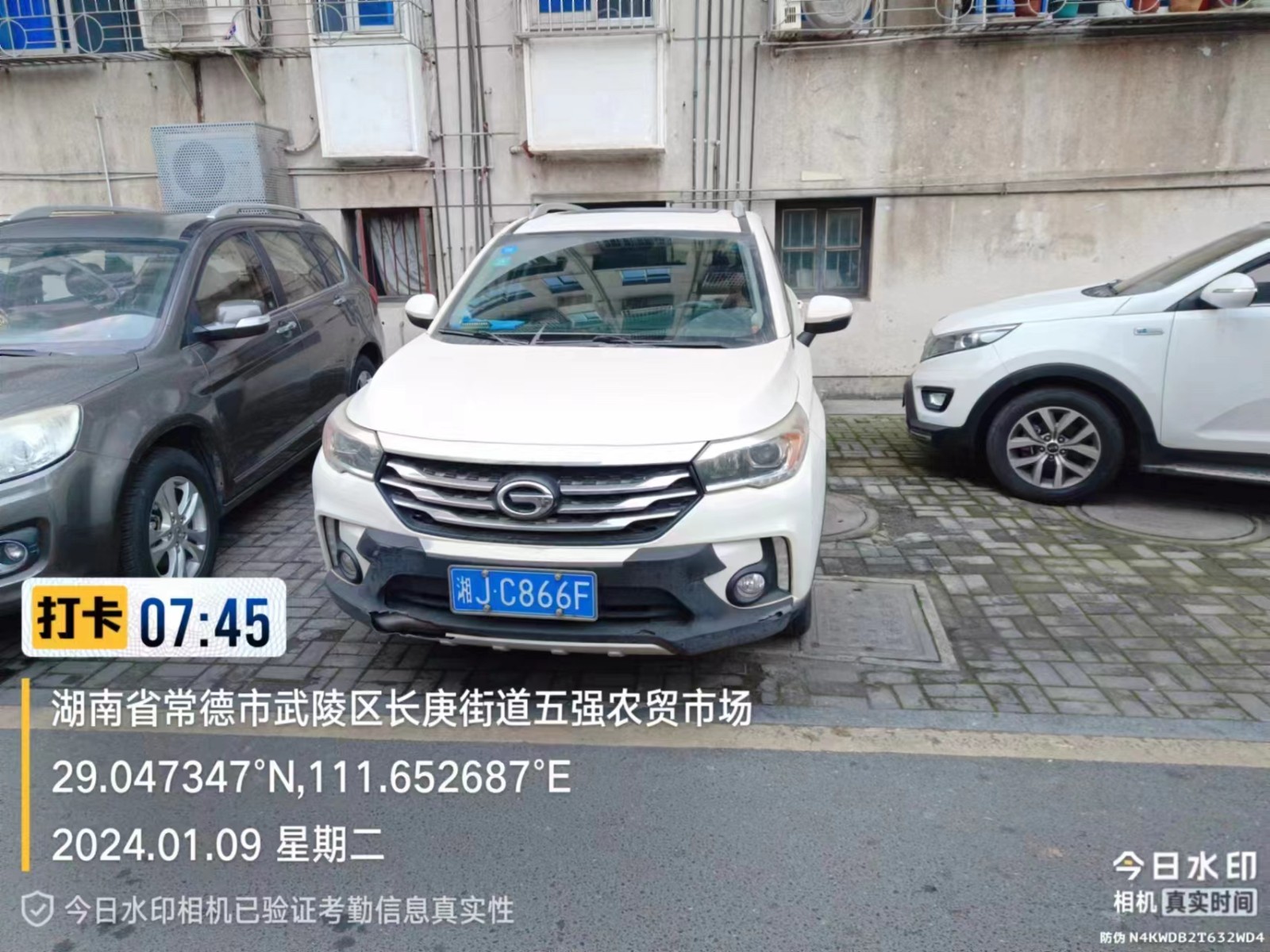 【曝光台】武陵城区不文明行为曝光（448）