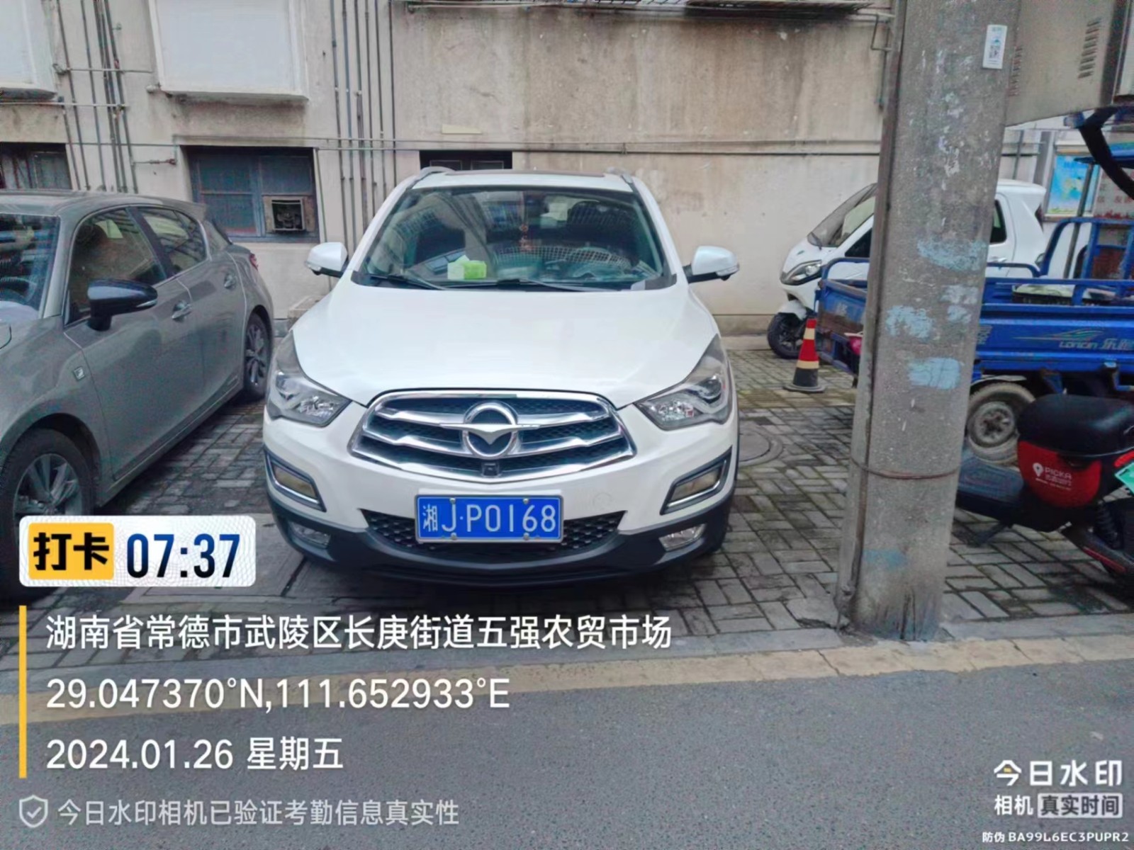 【曝光台】武陵城区不文明行为曝光（461）