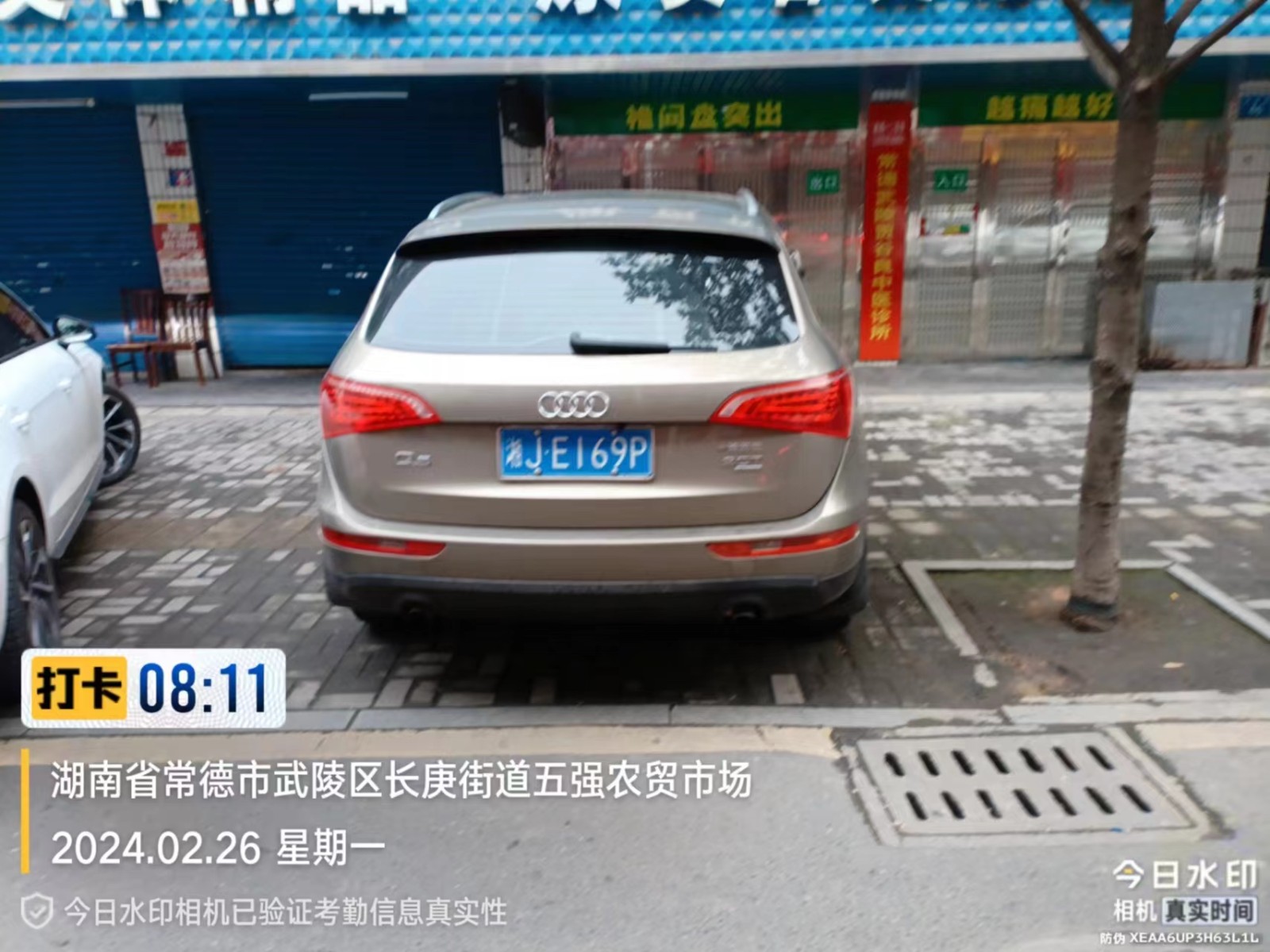 【曝光台】武陵城区不文明行为曝光（468）