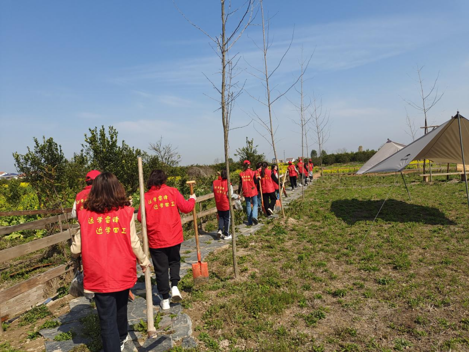 武陵区三岔路小学党支部开展植树活动