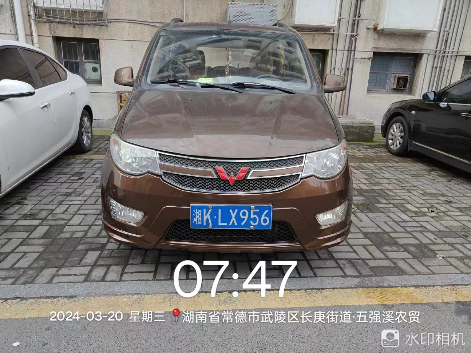 【曝光台】武陵城区不文明行为曝光（477）
