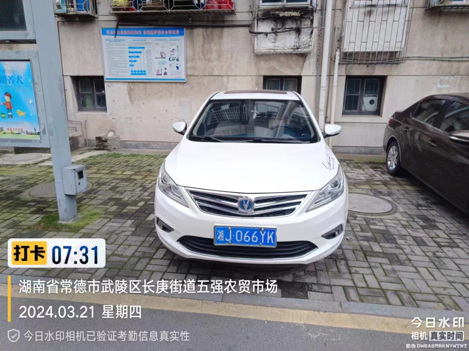 【曝光台】武陵城区不文明行为曝光（478）