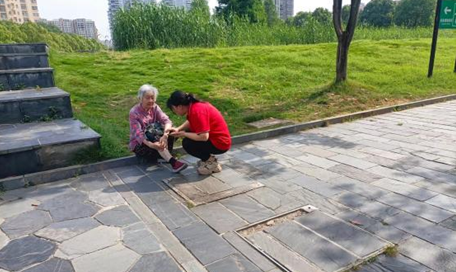 穿紫河街道西园社区：小网格 大温暖
