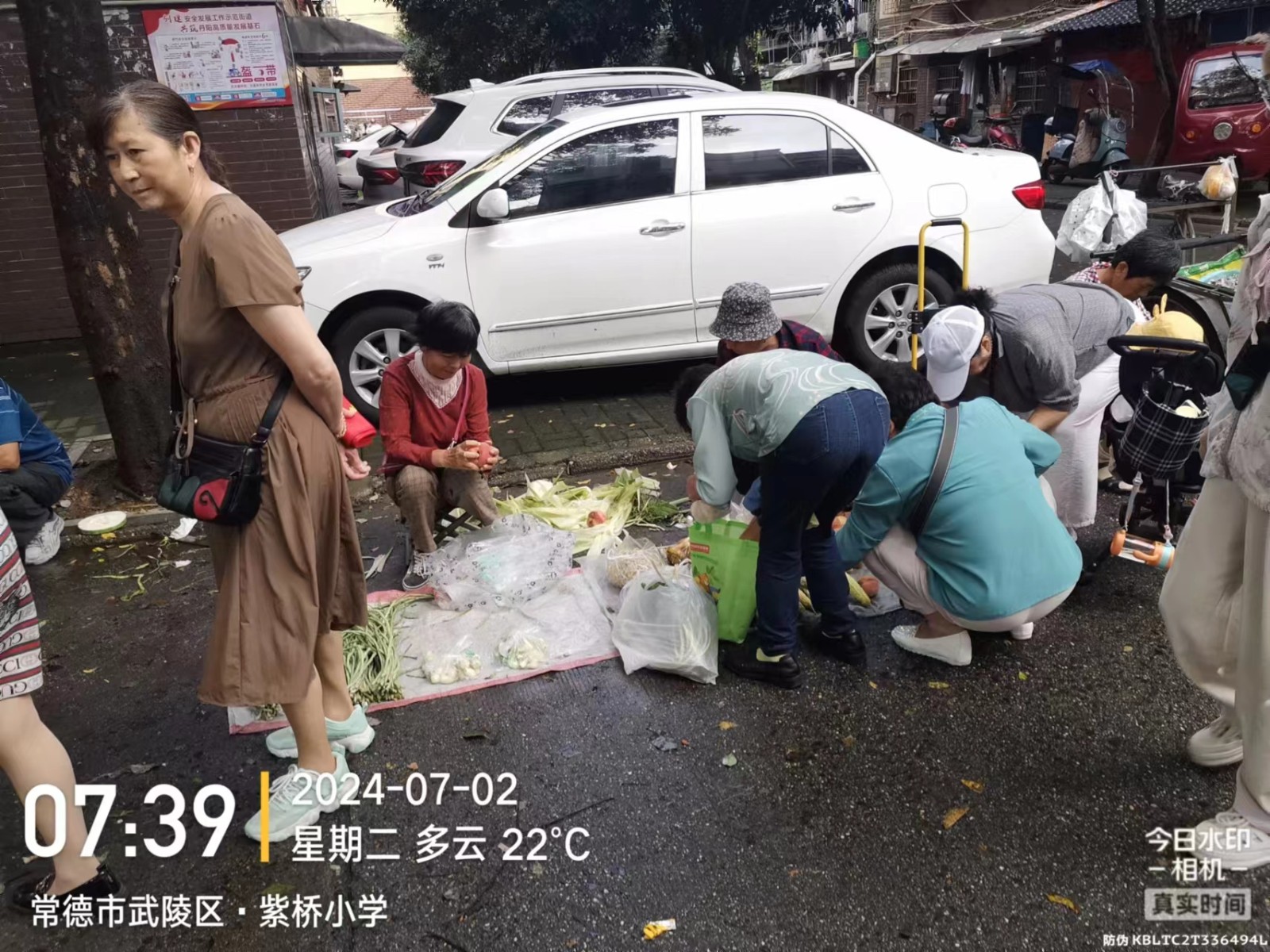 【曝光台】武陵城区不文明行为曝光（488）