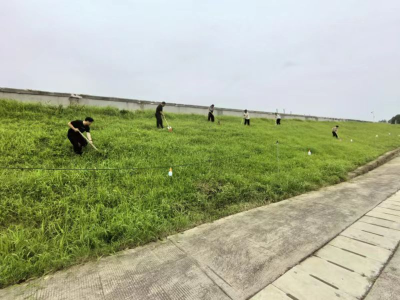 启明街道：党建引领显担当 政协委员齐力筑牢防汛安全网