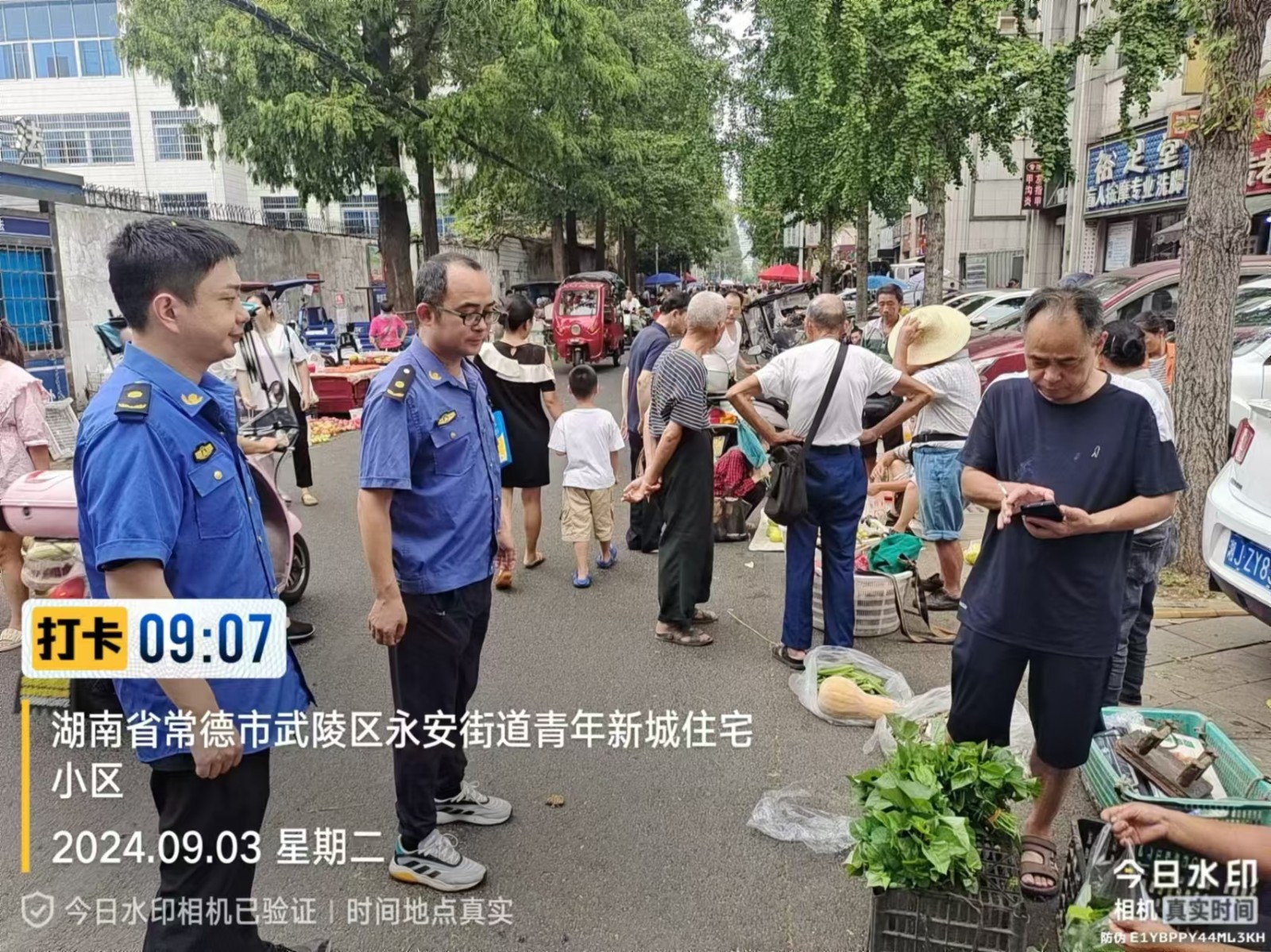 【曝光台】武陵城区不文明行为曝光（489）
