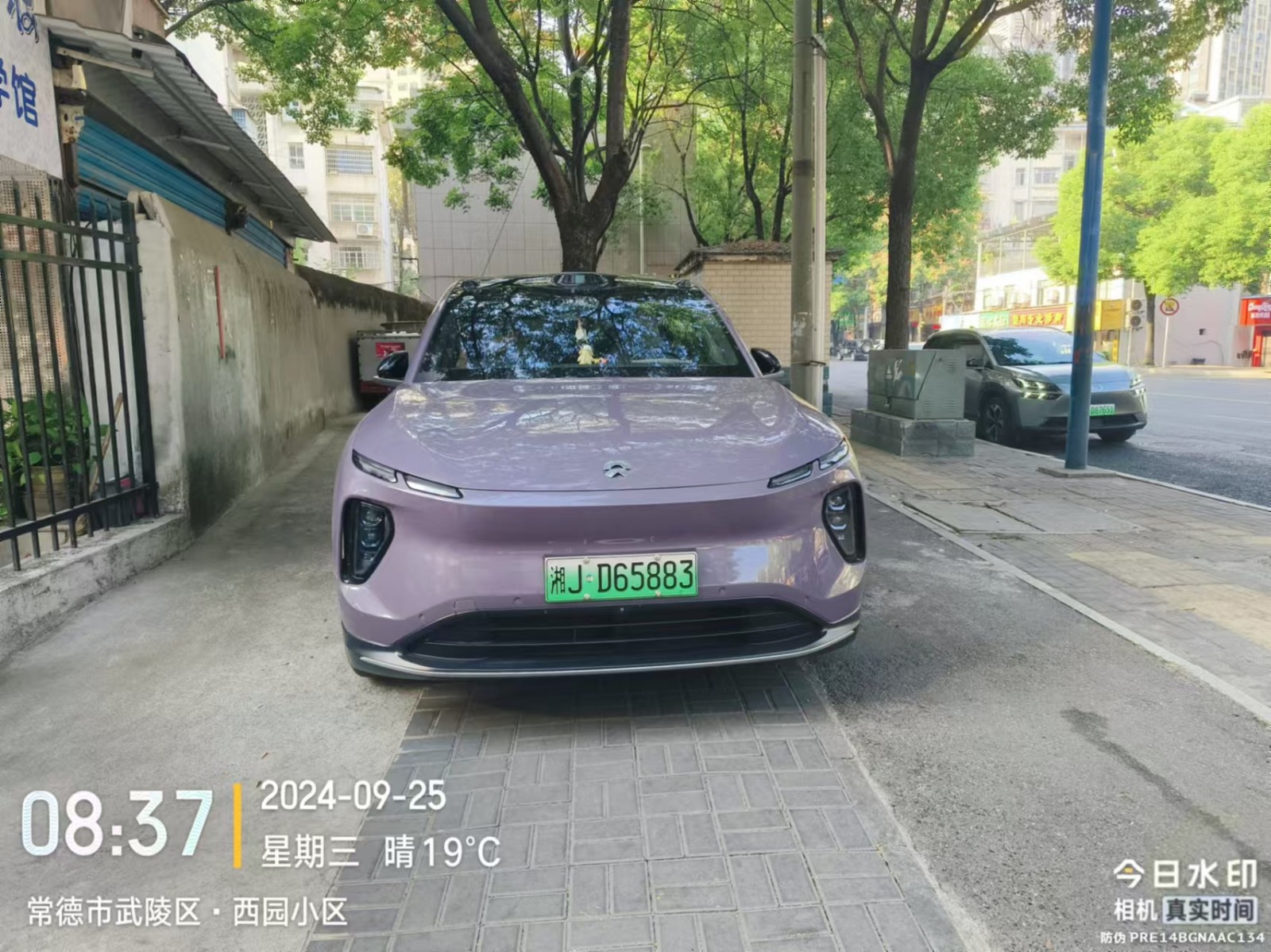 【曝光台】武陵城区不文明行为曝光（491）