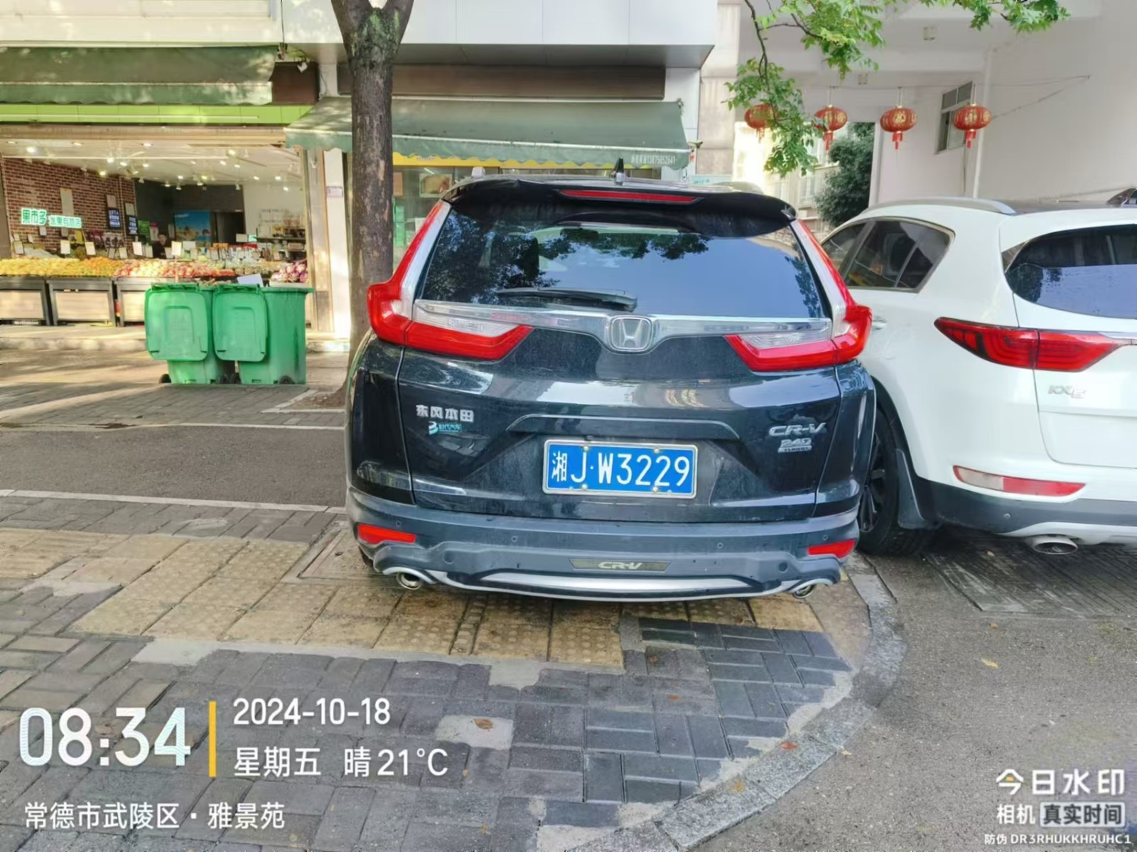 【曝光台】武陵城区不文明行为曝光（492）