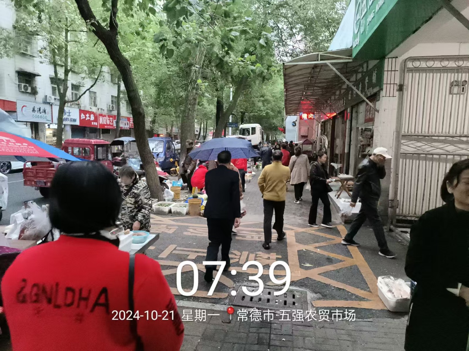 【曝光台】武陵城区不文明行为曝光（493）