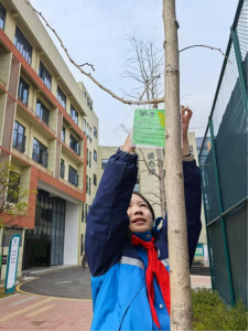 武陵区第五小学：给植物挂“名片”啦！