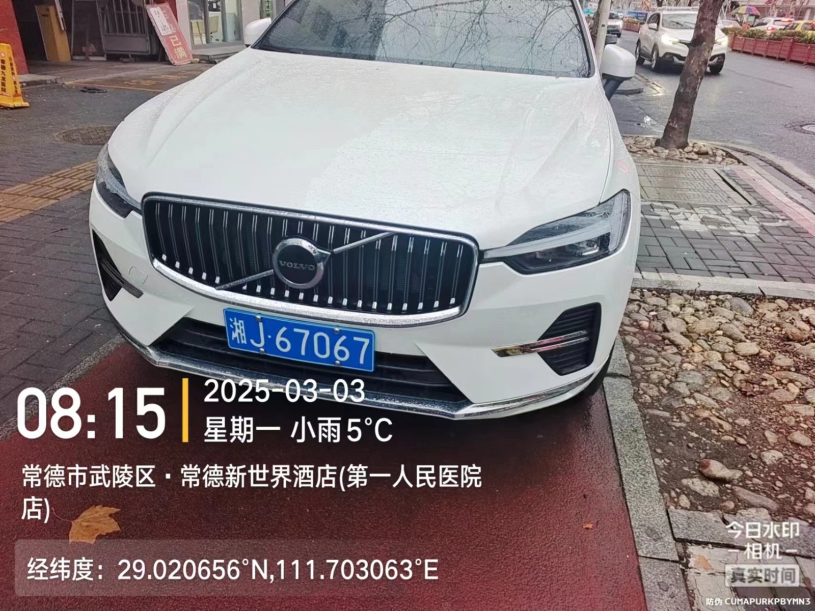 【曝光台】武陵城区不文明行为曝光（505）