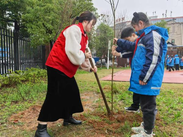 武陵区第五小学开展植树节活动