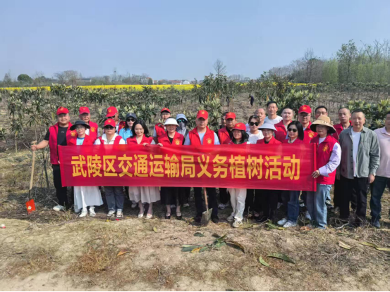武陵区交通运输局开展植树活动