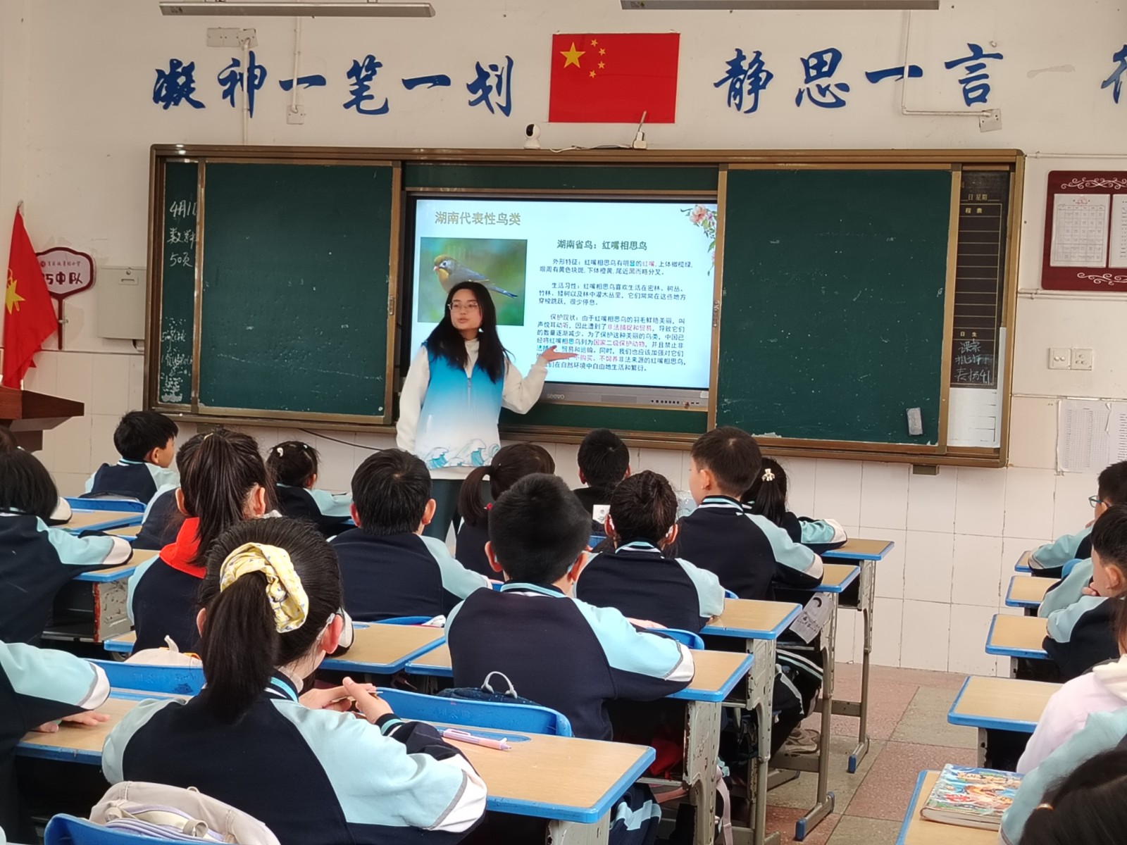 武陵区育英德景园小学联合开展爱鸟日环保课堂