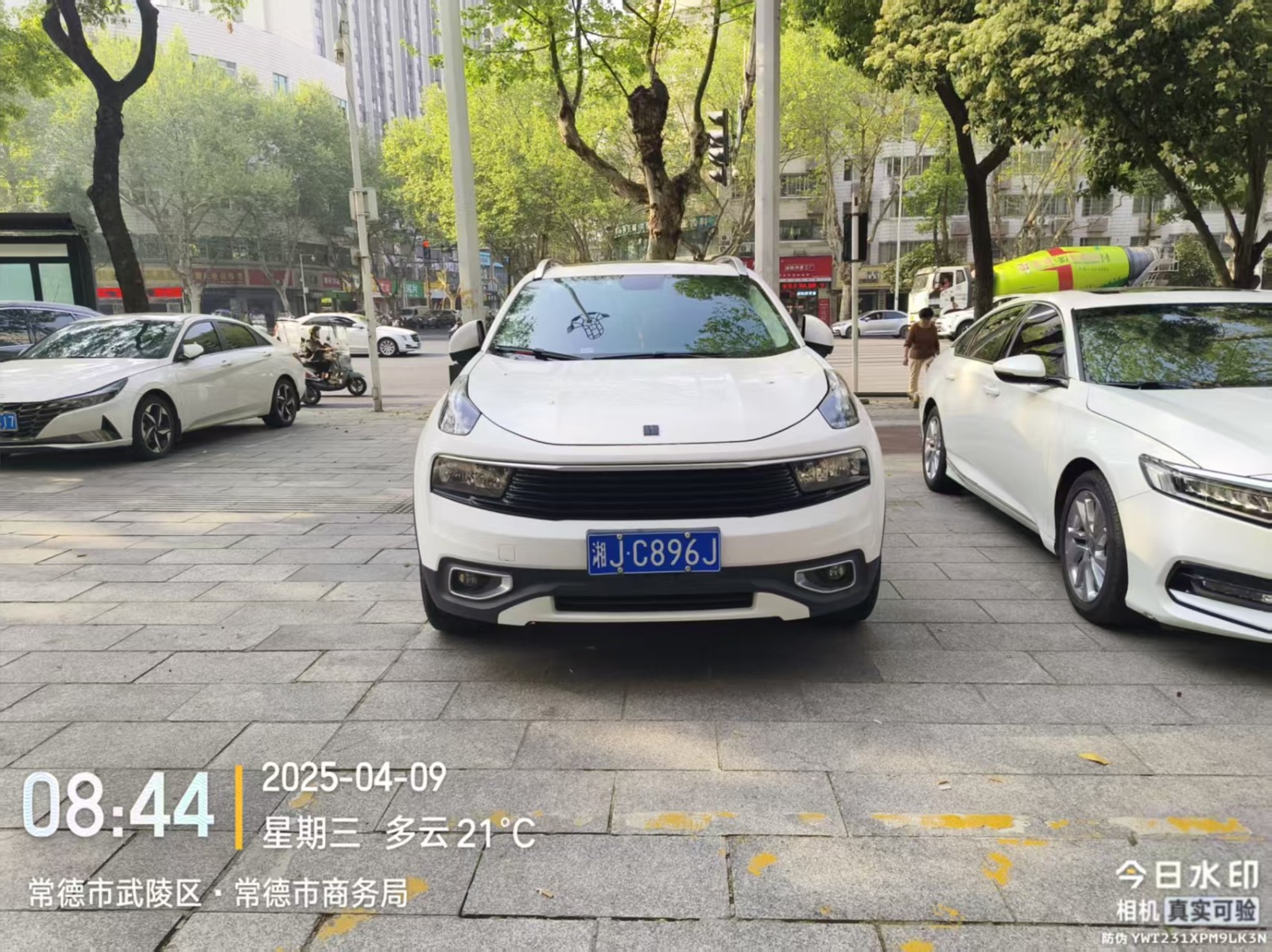 【曝光台】武陵城区不文明行为曝光（509）
