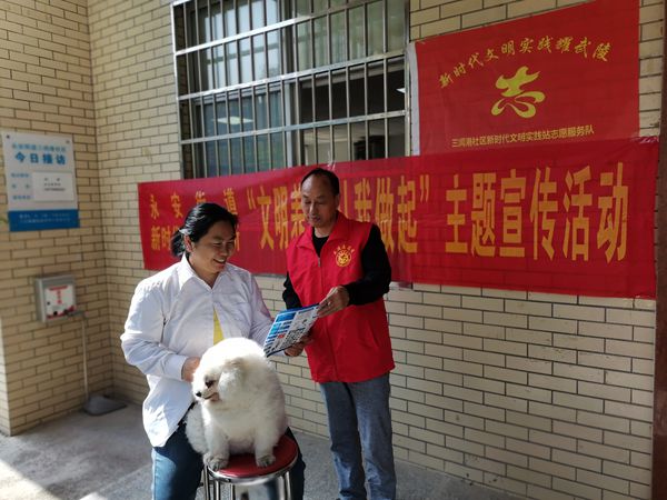 永安街道：文明养犬新风尚 免费接种进社区