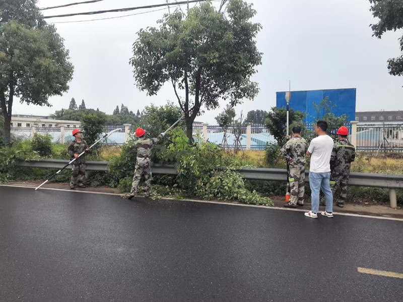 东江街道开展专项整治行动 筑牢道路交通安全防线