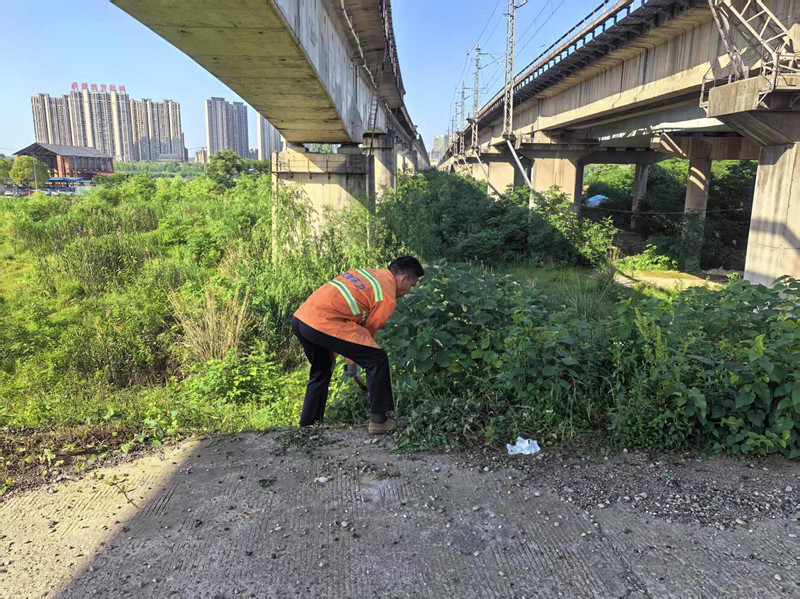 东江街道开展防汛砍青扫障巡堤查险工作