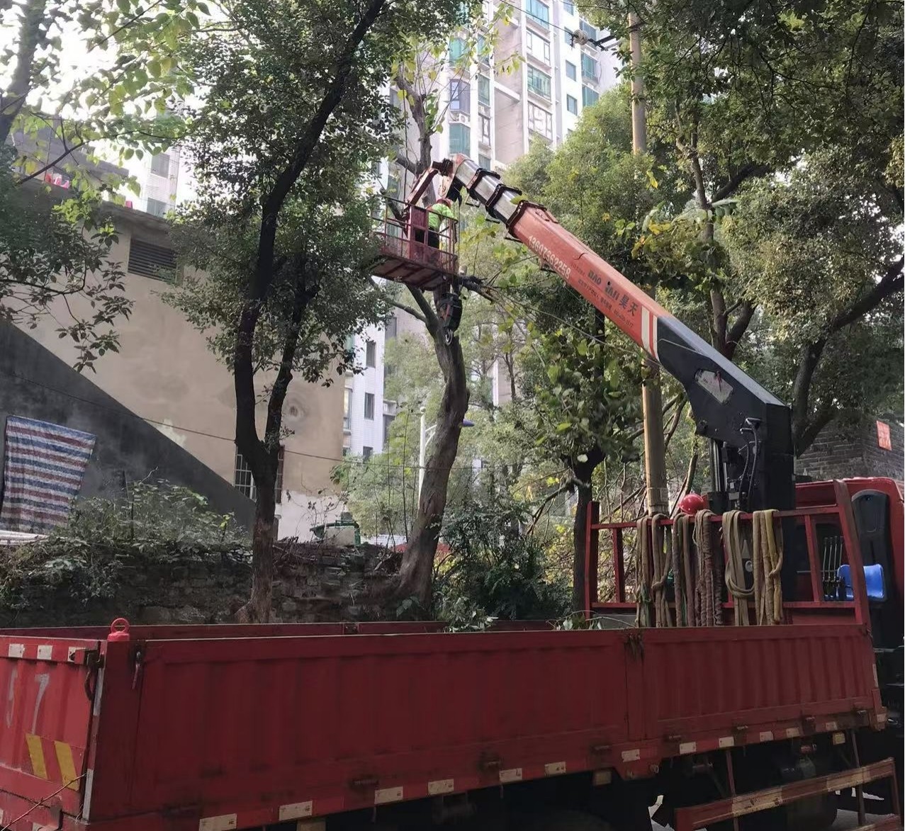 府坪街道东湖巷社区消除道路安全隐患 守护居民出行平安