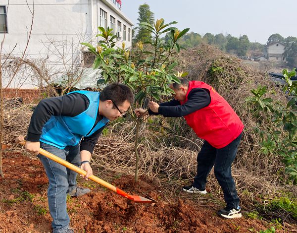 永安街道联合长沙银行开展义务植树活动
