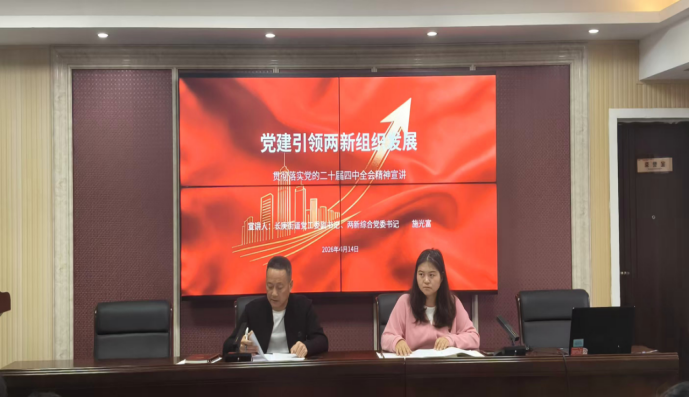长庚街道开展两新党组织党的二十届四中全会和全国两会精神宣讲
