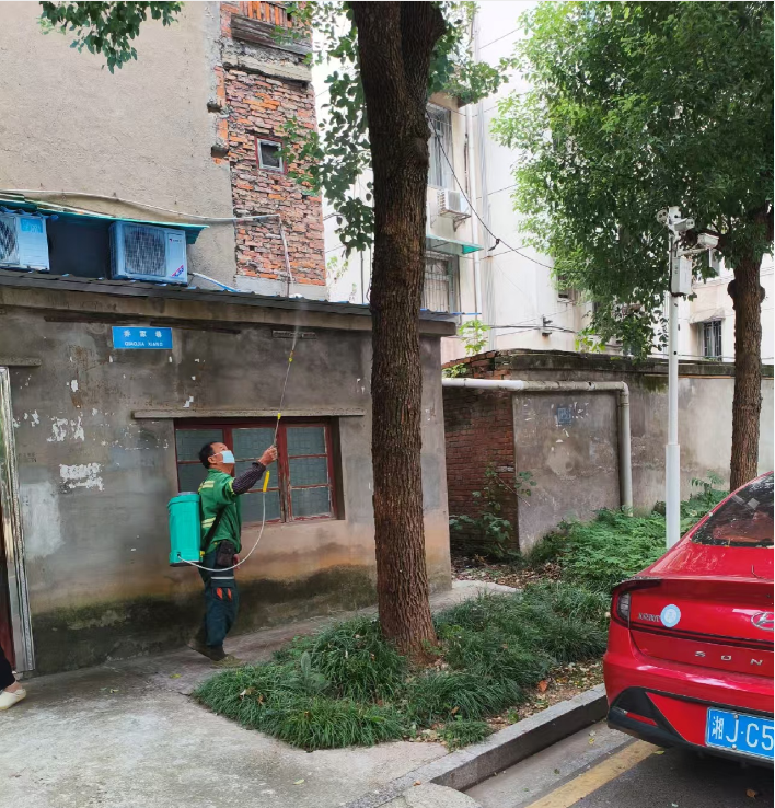 府坪街道：消杀白蚁除隐患 筑牢居民安全防线